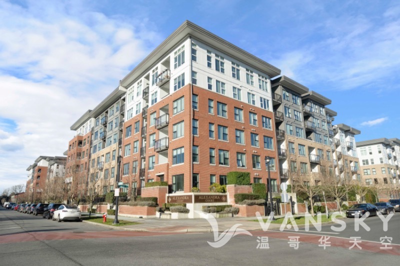 250314221307_Copy of 2JY09417.JPG